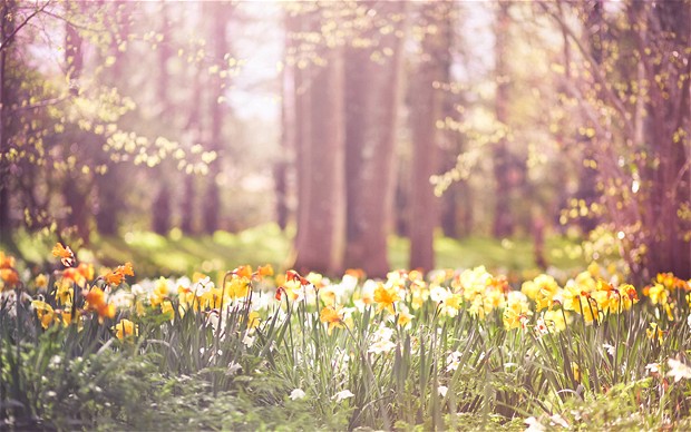 Spring-Images-HD